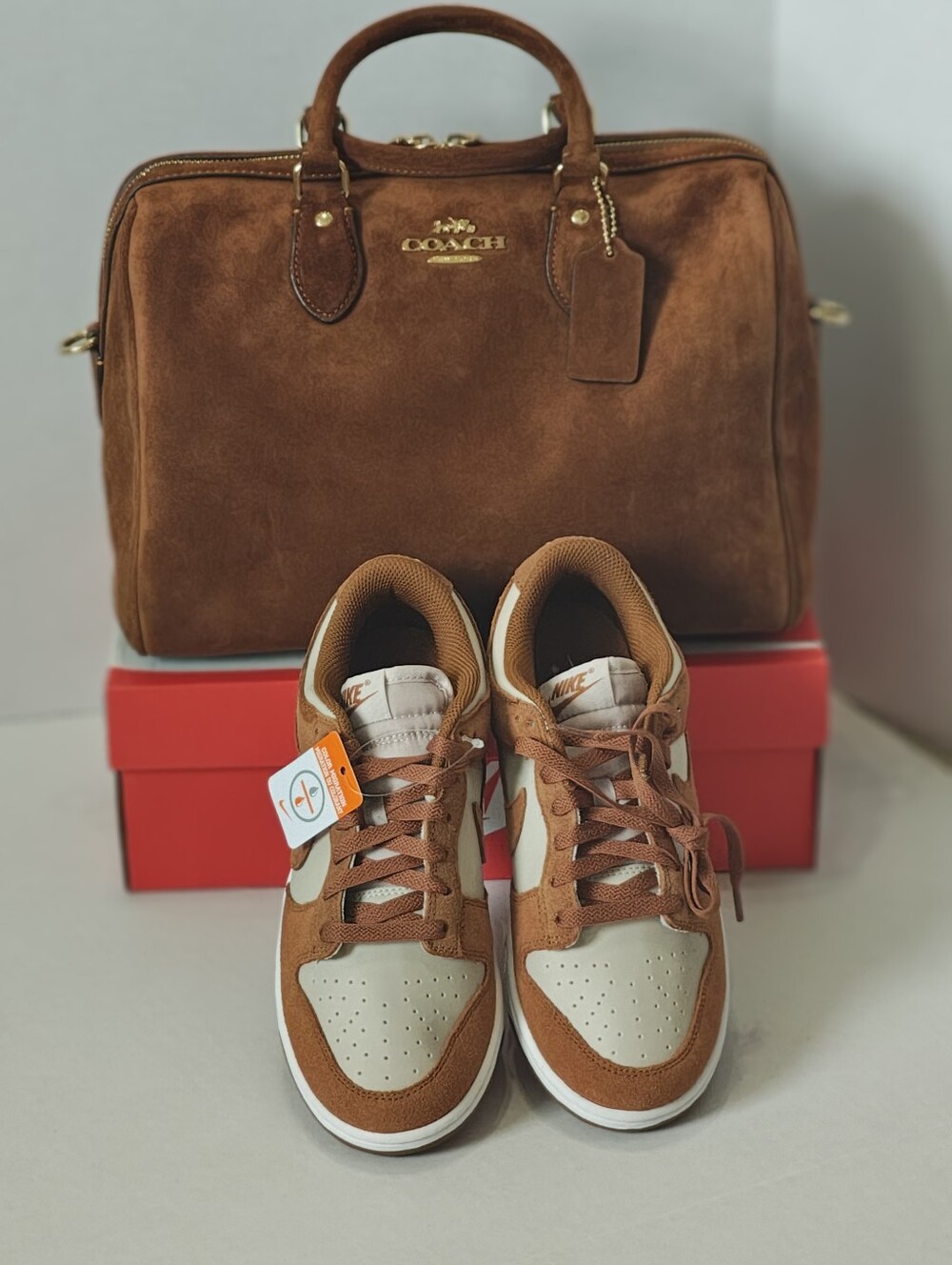 Nike Dunk Low Suede